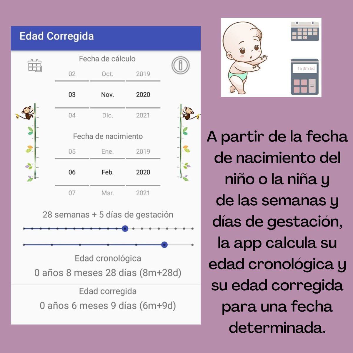 sefip_org's tweet photo. En el #DiaMundialdelaPrematuridad queremos destacar hoy el trabajo de nuestra socia Ángels Gámez en la creación de una App para la corrección de la edad. Ya ha sido avalada por @APREMprematuros y por nosotros, y se encuentra a la espera de respuesta de otras asociaciones. https://t.co/gMJF93Otvs