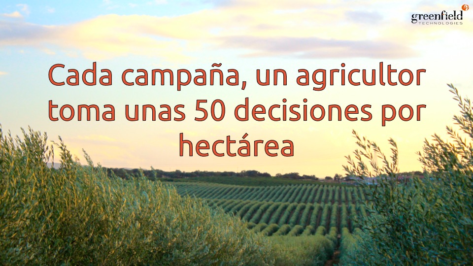 MiguelCordobaP's tweet photo. Continua #DATAGRIvirtual20 Esta tarde con una mesa redonda sobre #Olivar 4.0 Desde @agrodrone contaremos casos de éxito en #digitalizacion para tomar #mejoresdecisiones. Inscripciones: https://t.co/xg0xotsP3v https://t.co/K00FobhABk