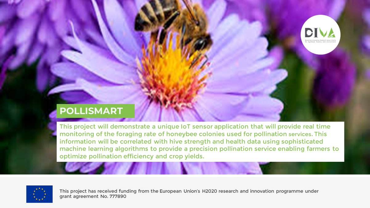 EU_ProjectDIVA's tweet photo. 🐝The 🇪🇸 Spanish project #POLLISMART demostrates a unique IoT sensor application that  provides real time monitoring of the foraging rate of honeybee colonies used for pollination services 
CC: @AMETIC_es #IRIDEON 
More info: https://t.co/WQNr66uDRj #EUProjectDIVA https://t.co/ibnvI8Vjbz