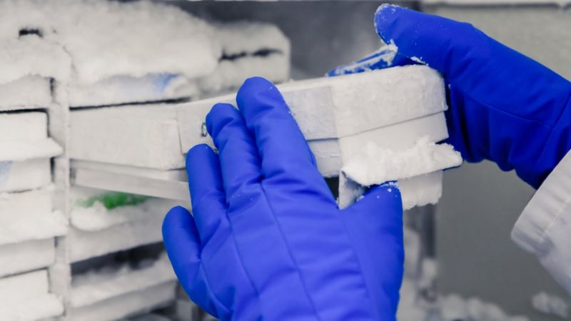 pvcstripUK's tweet photo. Pfizer-BioNtech Covid-19 vaccine -80 degrees storage! Huge implications for cold storage &amp; mass distribution. We can manufacture PVC strip curtains to tolerate -80. Contact us if you require further information.
https://t.co/phGHzSC7W9

https://t.co/hiIiEwhO9f https://t.co/0V9t947HUb