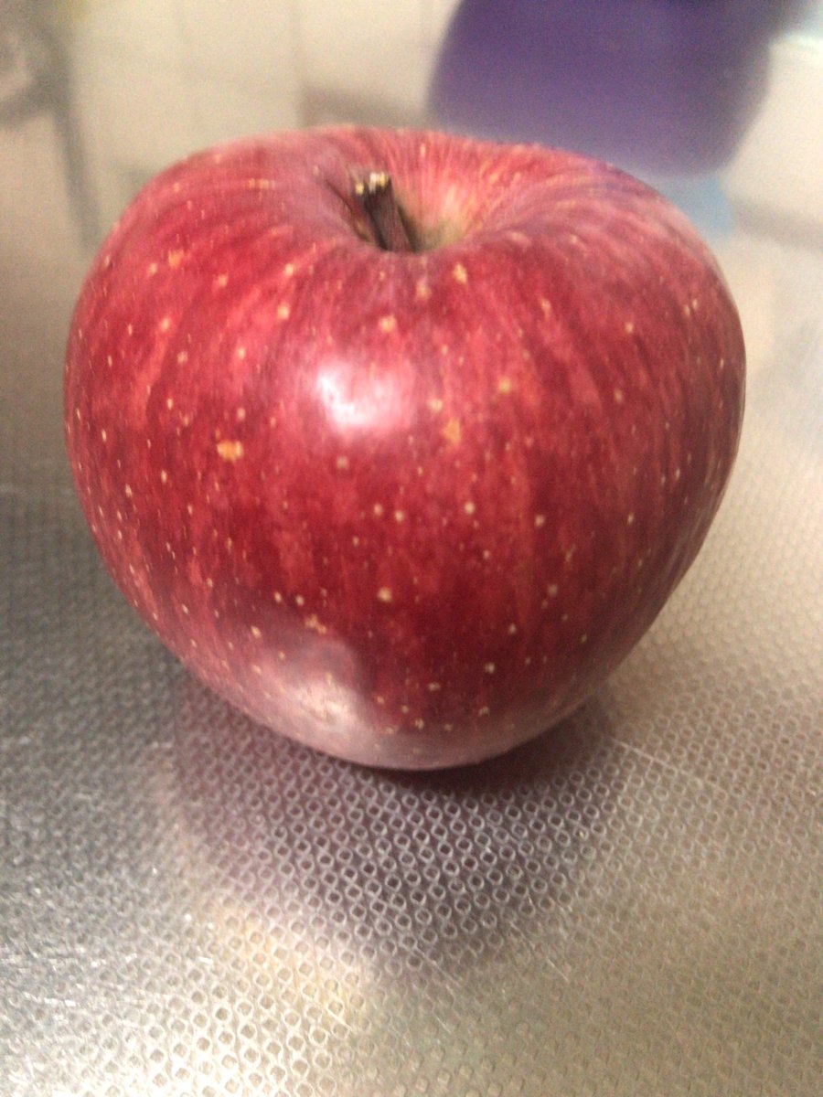 ちなみにウチのノーマルふじがこちらになります。美味しいね