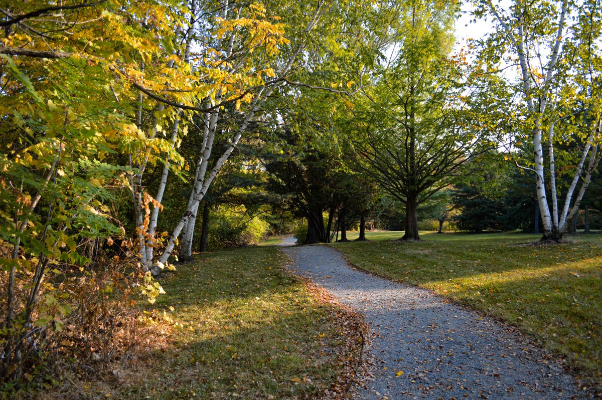 GVSURecWell's tweet photo. It's National Take A Hike Day! 🌲  #GVGetOA #GVWellness https://t.co/V8kruue3Sc