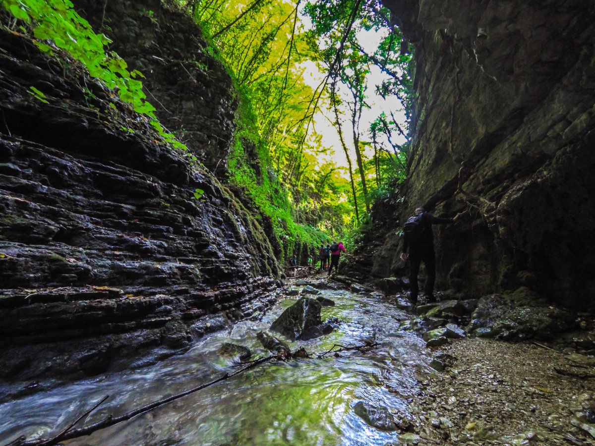 MarcheTourism's tweet photo. ♥ #𝗠𝗔𝗥𝗖𝗛𝗘 𝗠𝗘𝗥𝗔𝗩𝗜𝗚𝗟𝗜𝗔 ♥

Monte Nerone e Valle di Pian dell'Acqua
"Una delle più belle escursioni dell'autunno, le fitte boscaglie che abbiamo attraversato, stavano già iniziando a tingersi dei meravigliosi colori che conosciamo."
Foto e testo Federica Battistelli https://t.co/VxsN1QlYin