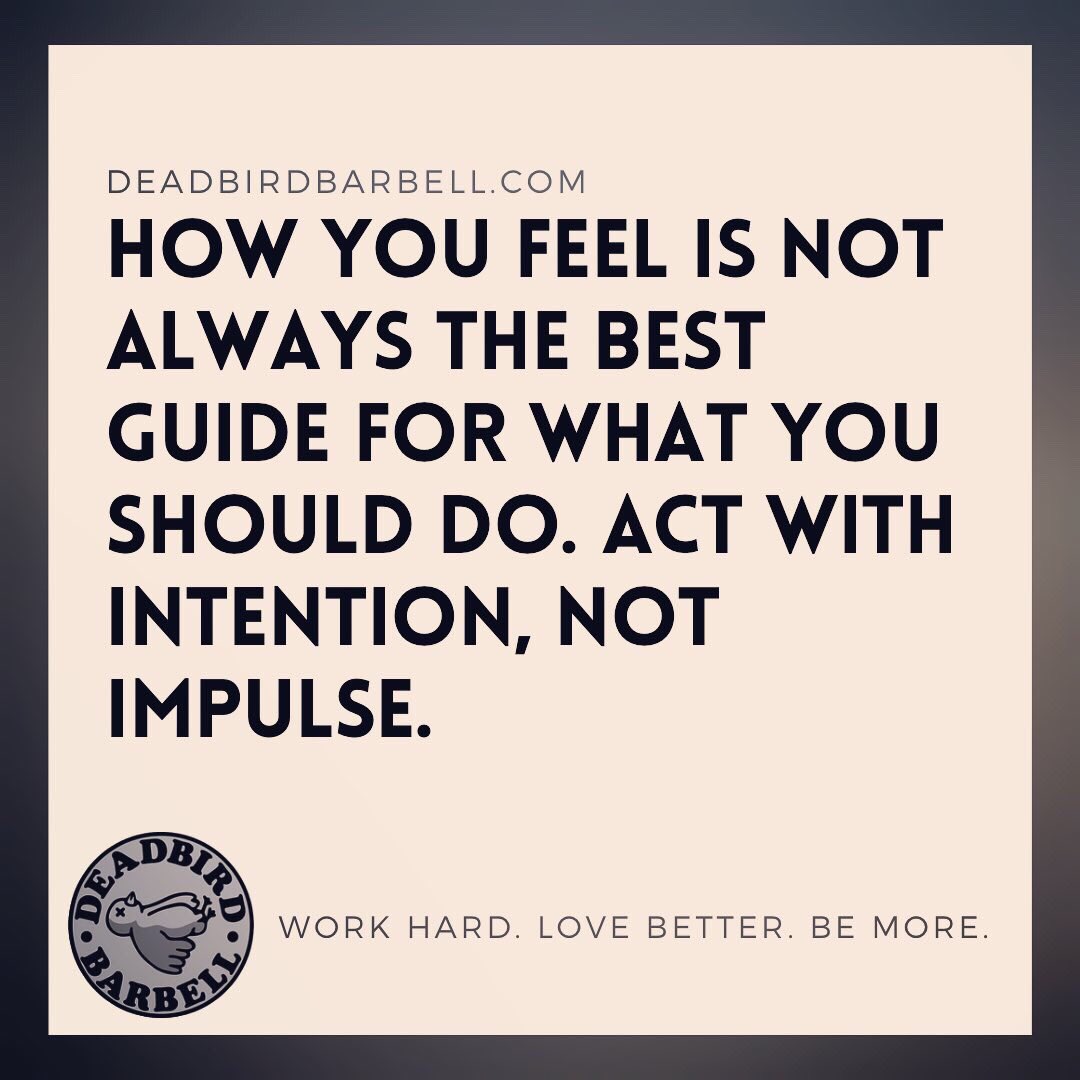DeadbirdBarbell's tweet photo. #DailyBird #WorkHardLoveBetterBeMore https://t.co/1gjENq8mTk