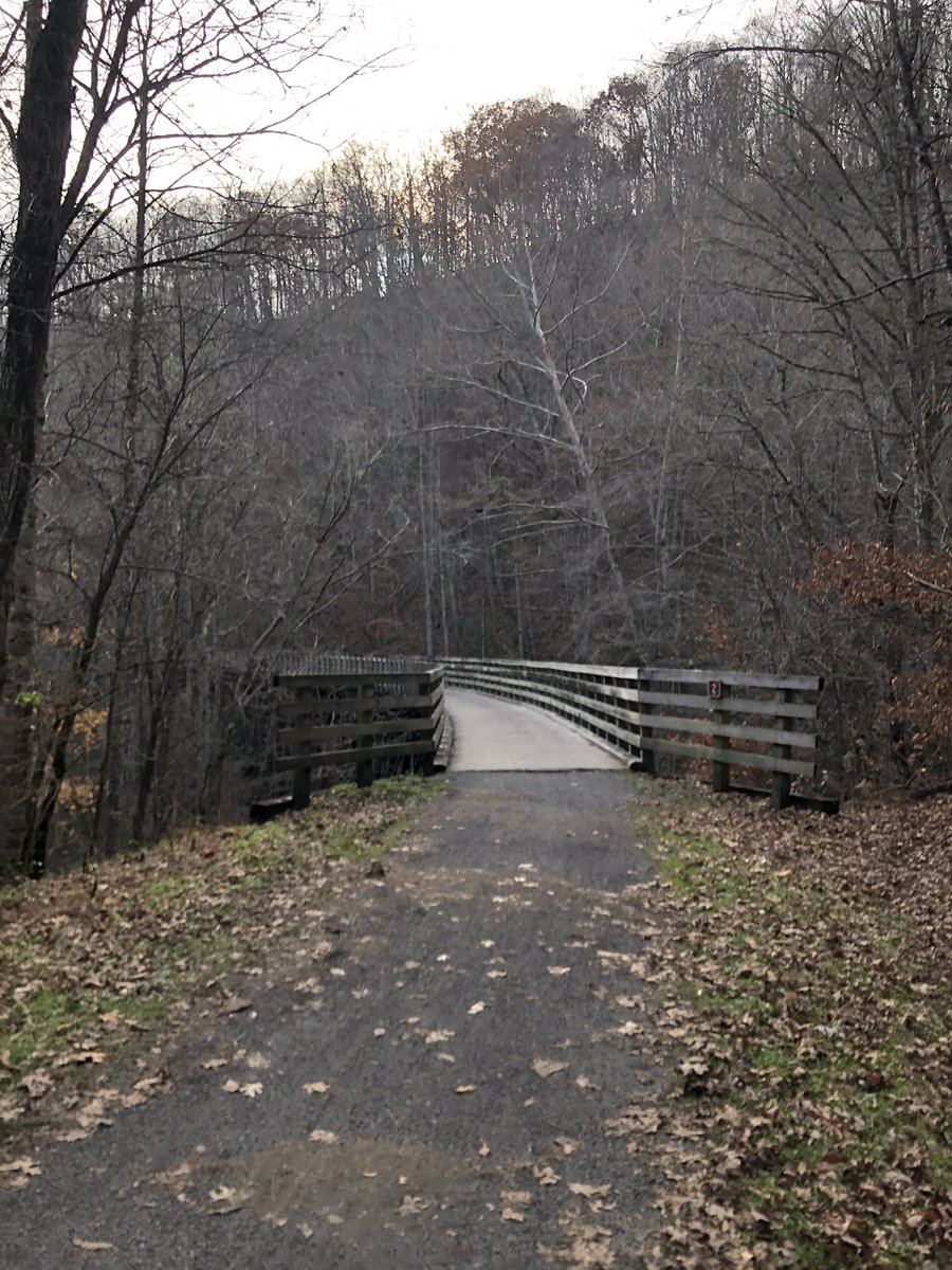 Ellen Mary tweet media