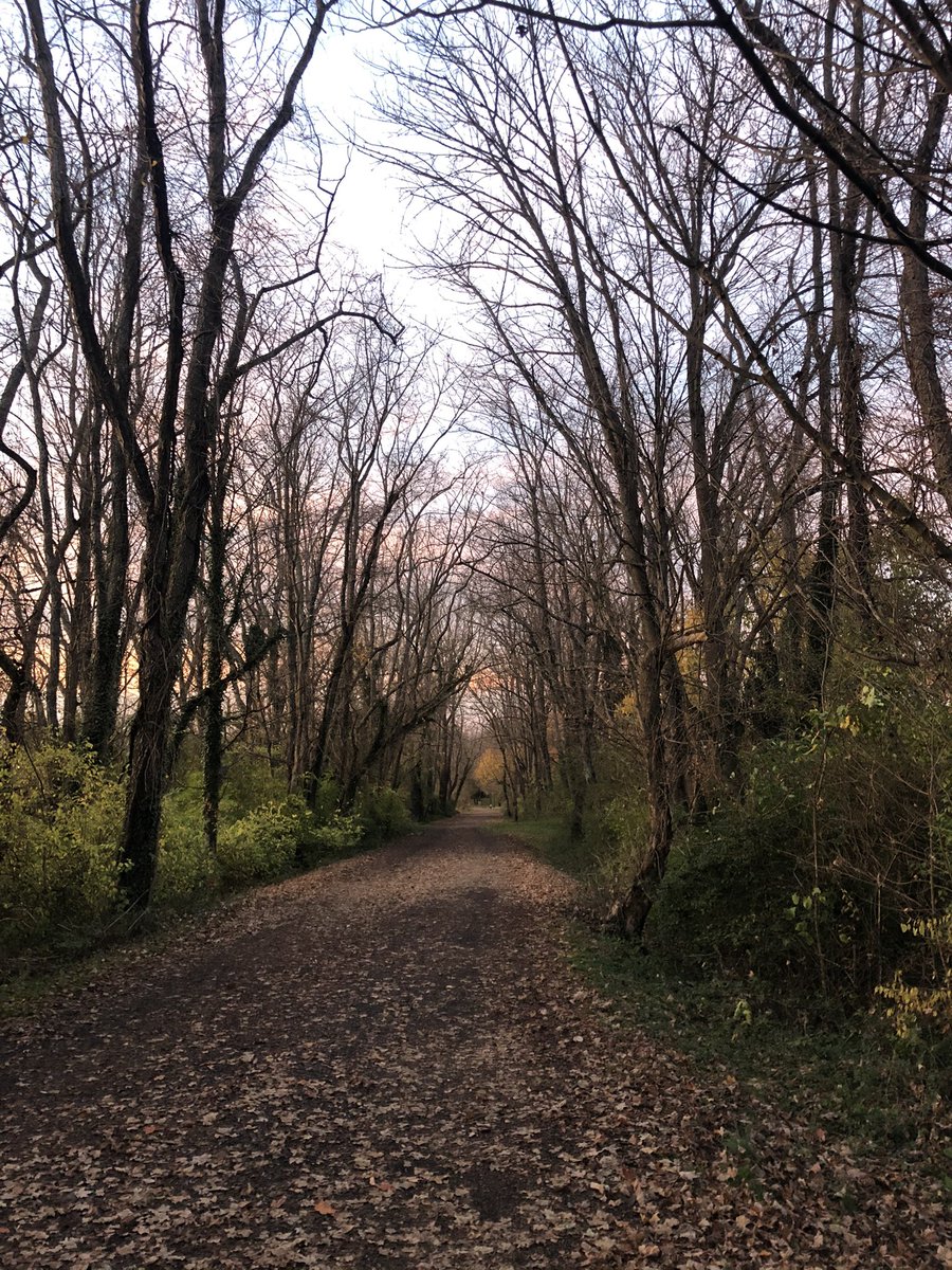 Ellen Mary tweet media