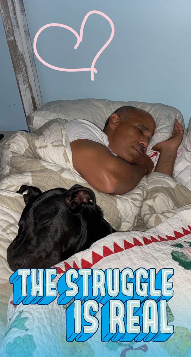 IgnacioTammy's tweet photo. Ok so maybe she’s a little spoiled! @AlexAnimals #LunaBlue #AdoptDontShop #CovidRescue2020 https://t.co/FAY0M1j7Tx