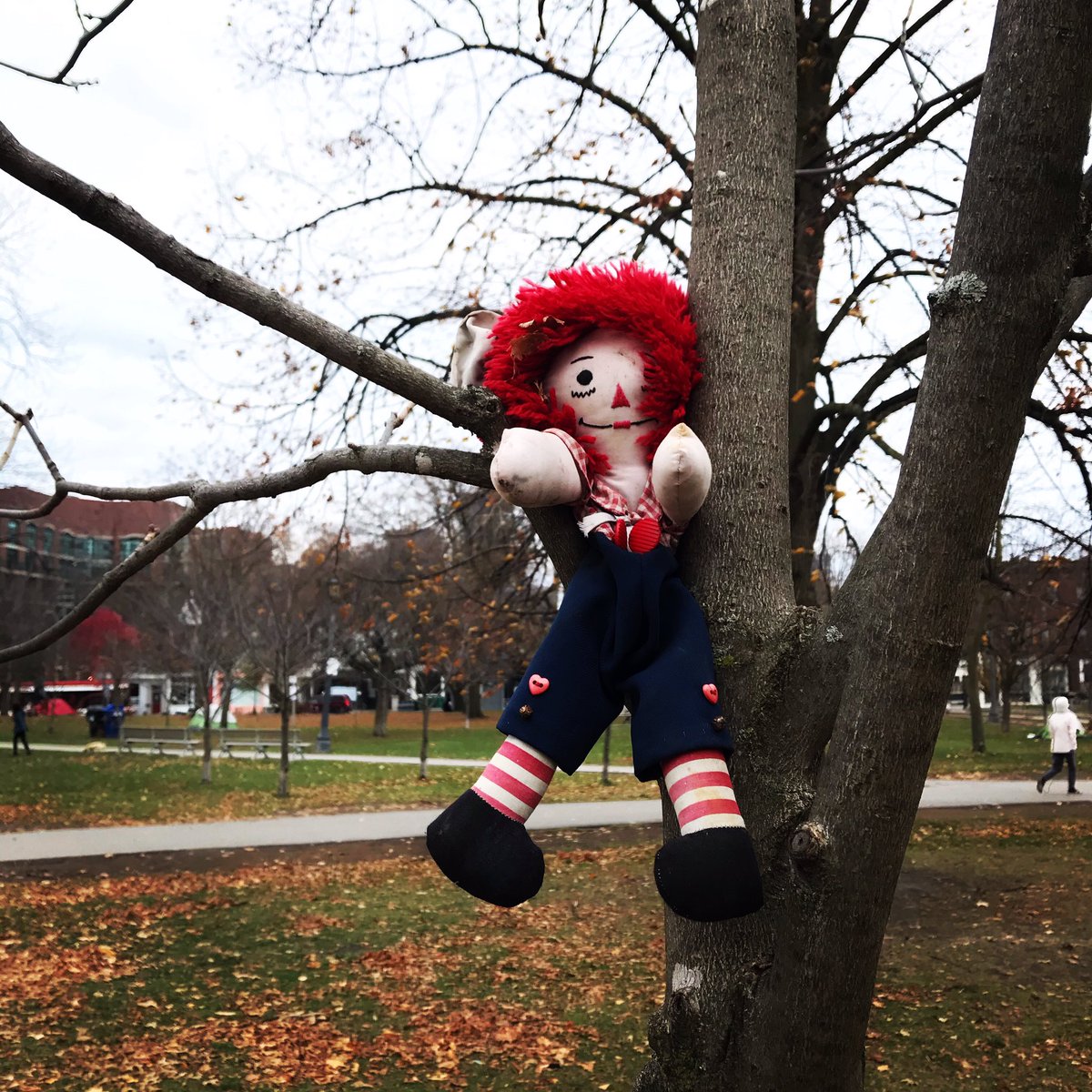 TrinityBellwood's tweet photo. Raggedy Andy’s in a jam.  

#dollintree #raggedyandy #raggedyann #redyarn #soft #classic #childrensbooks https://t.co/2mMlFqpNpe