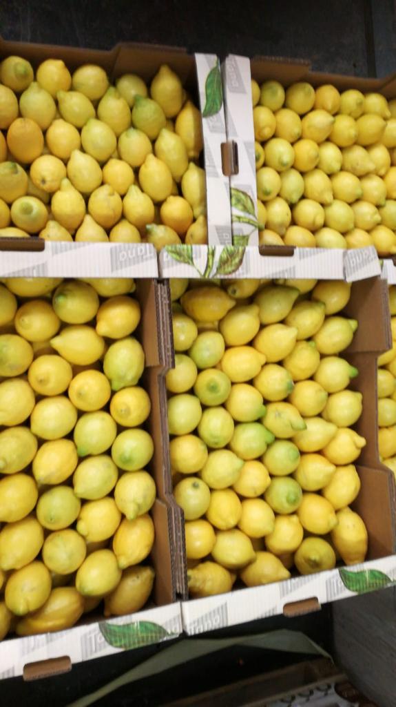 CMSexports's tweet photo. Primofiori
Cat. I
Size 4-5
90kg bins
8 bins per pallet
Delivered price UK: ???
Get in touch! cmsexports@telefonica.net https://t.co/f4H4OjPSVO