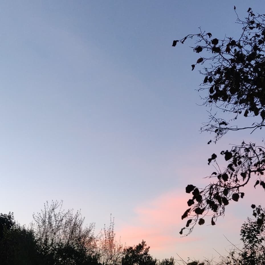 chrisvigneron's tweet photo. Petit déjeuner au frais, déjeuner torse nu. L'effet niortais #Niort #ciel #cielfie #lcdj #lecieldujour #cielo #sky #himmel #bluesky #instasky #instablue #blue #bleu #blau #azul #nofilter #France #skyporn #cielbleu #cieldujour #ShotonOnePlus https://t.co/Z1VZlIUgyo https://t.co/5WJGsGL0w1