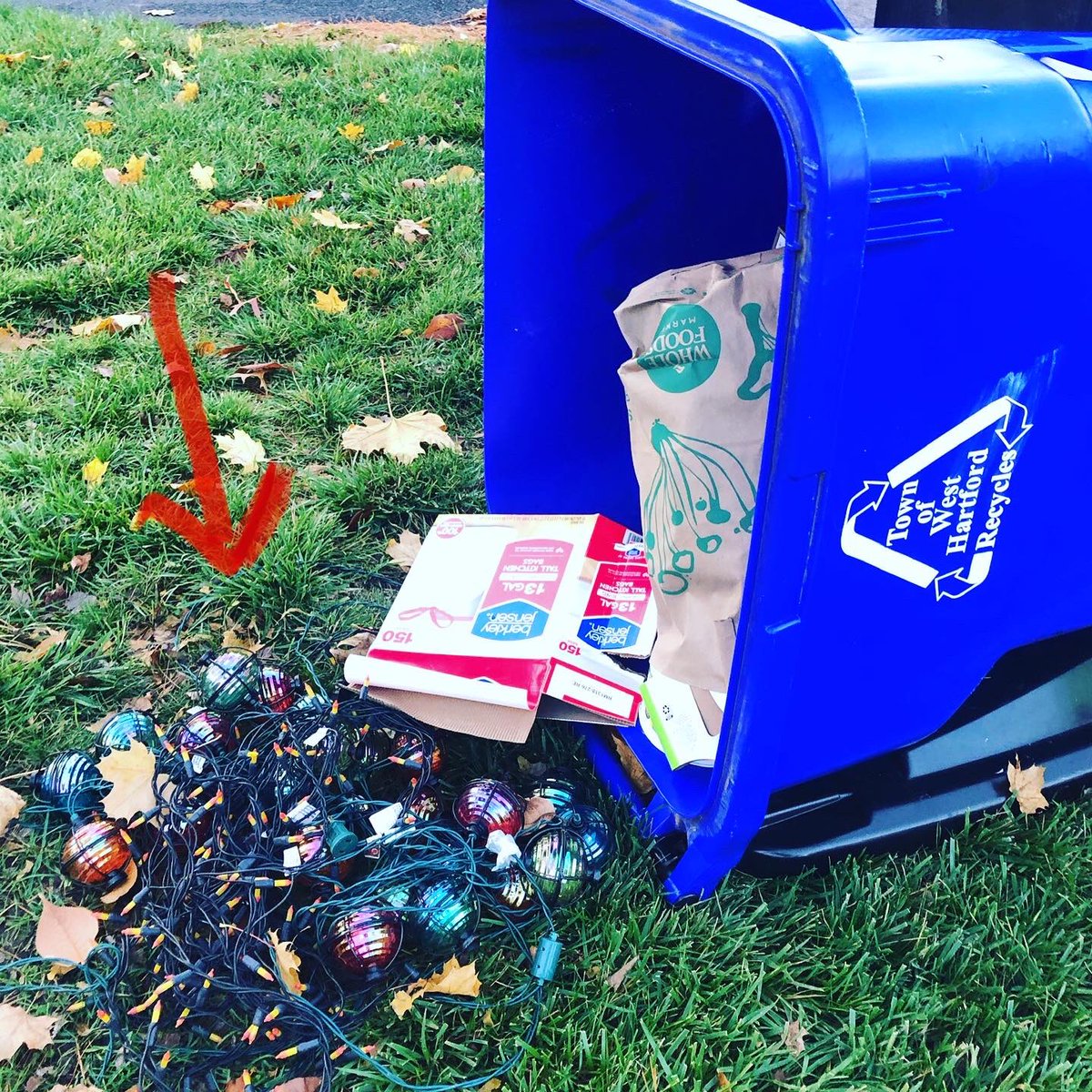 What’s a “tangler”? Christmas lights, hoses and plastic bags. Please do NOT put these in your recycling bin. They clog up and shut down recycling machinery. Thanks! #recycleright @recyclect <a href="/WHPublicWorks/">West Hartford DPW</a> <a href="/TownofWestHrtfd/">Town of West Hrtfd</a> <a href="/WeHartford/">We-Ha.Com</a>