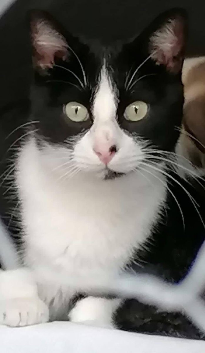 Desde Infantes con amor!!
Panda, os sigue esperando!!
BUENAAAASS AMIGOOS!!