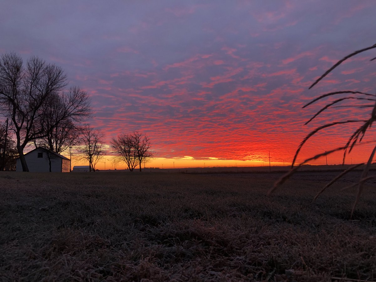 Adam Ramthun tweet media