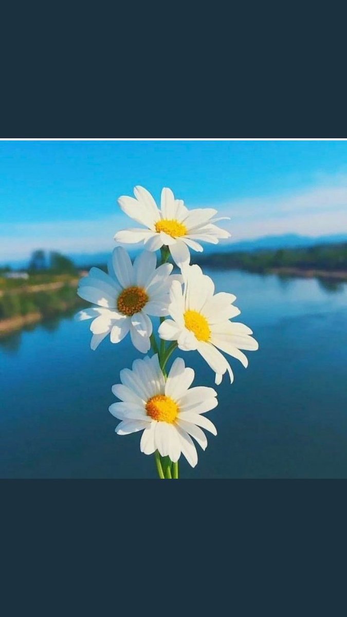 gülsüm (@zeyno83707483) on Twitter photo 