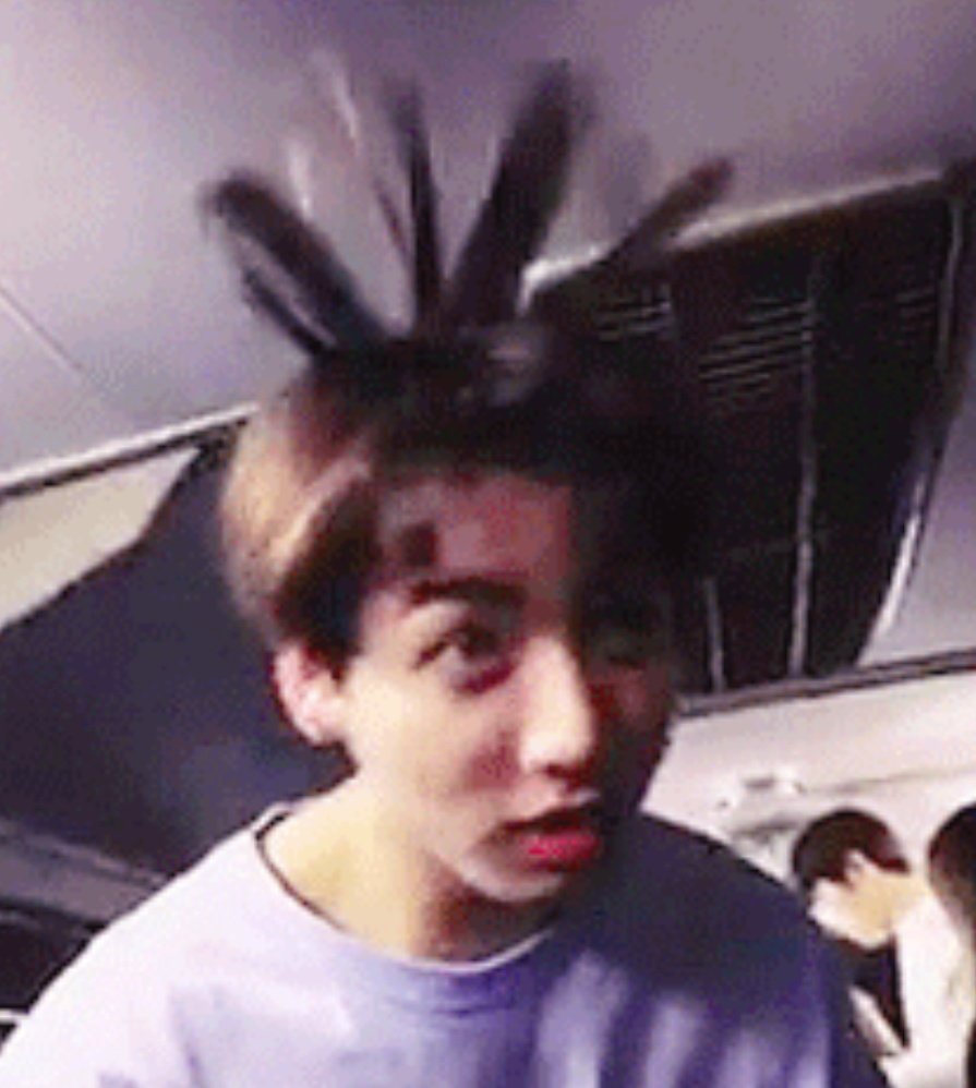 little bean sprout in no time