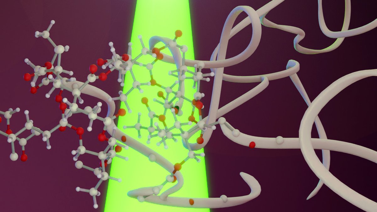 A more environmentally friendly and less wasteful way to produce the polymers that make up plastics is to use UV light. With our support, researchers from @NCState have found ways to use lower energy yellow or green light to make polymer gels news.ncsu.edu/2020/09/photoa…