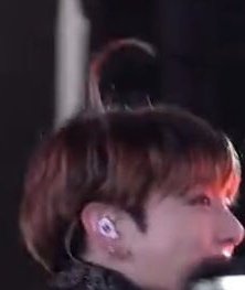 little bean sprout in no time