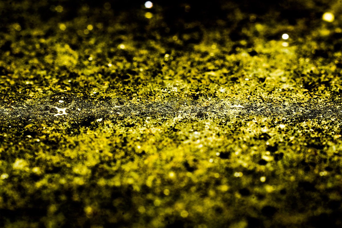 mrdavidjwilson's tweet image. Macro madness to keep me sane ! part2 #macrophotography #firstgo