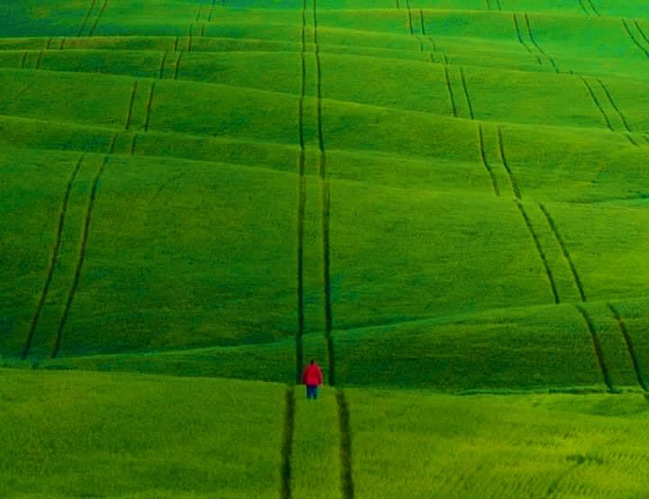 The occupied PALESTINE   - A thread of pics shows the beauty of my country Palestine.