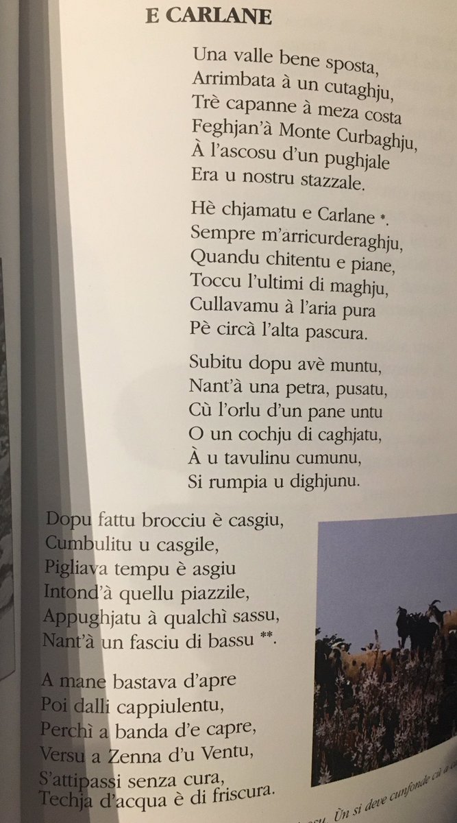 Albertini Batti 8 N Ghjuvan Petru Ha Passatu A So Zitellina In Muntagna A I Stazzi Di E Carlane Sottu A A Lattiniccia E Monte Curbaghja Eccu Una Puesia Chi Ci