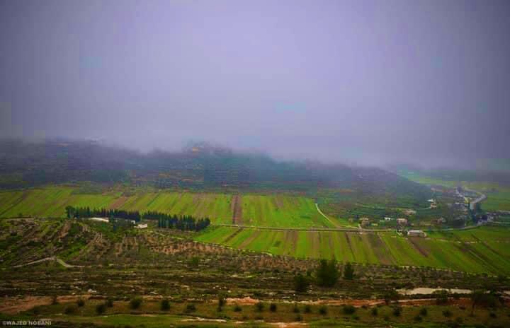 The most beautiful place- The holy Dome of the Rock. 