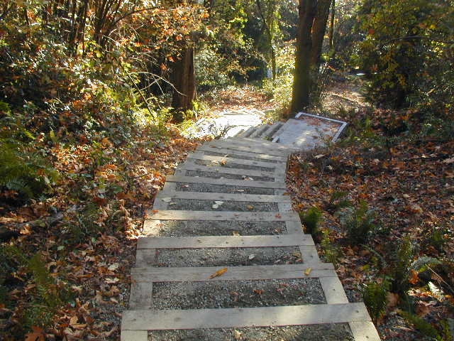 SeattleTrails's tweet photo. Seattle lets get #outdoors today because it's National #TakeAHikeDay! Where are your favorite trails in #SeattleParks?

📷 #MadronaWoods

#SeattleTrails
#GetOutside
#TakeAWalk https://t.co/MfuZUop6ZS