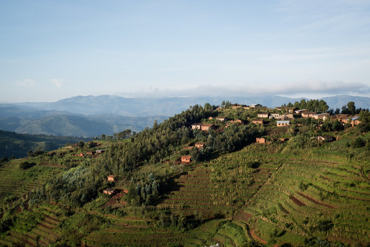 ecosia's tweet image. We're so happy to announce our first tree-planting project in Rwanda with @OneAcreFund! This nonprofit works with smallholder farmers to fight poverty and adapt to climate change. For this agroforestry project, they're going to plant more than 600,000 trees on local farms 🌱