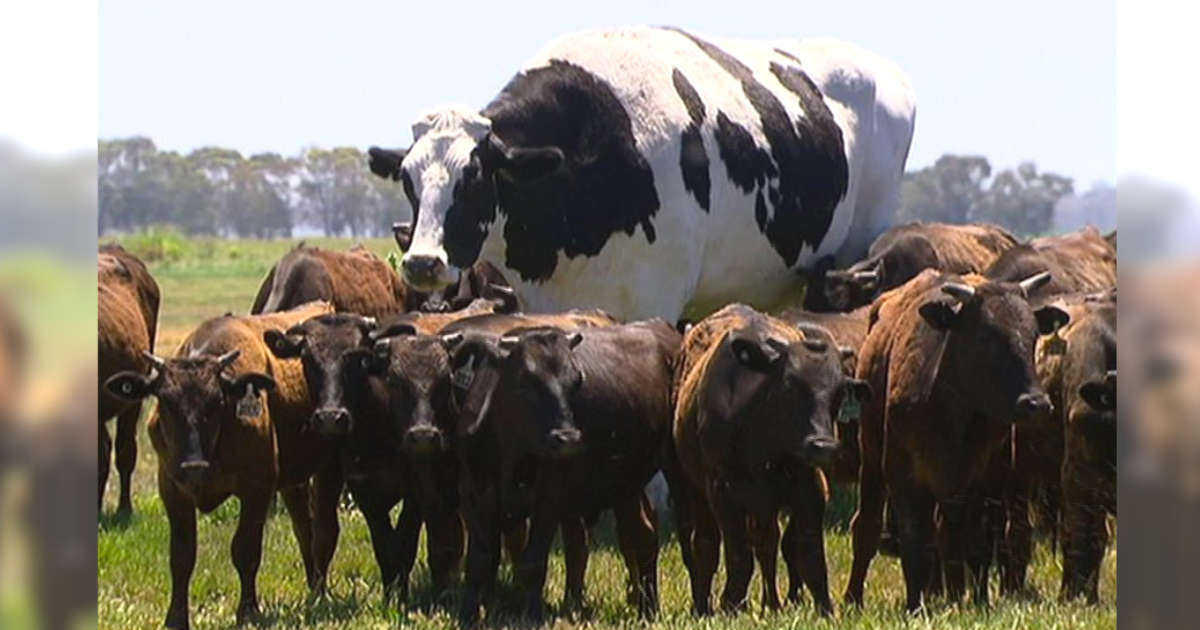 EricDutram's tweet photo. Live look at Amazon entering the online pharmacy market https://t.co/iYJWIEOUd8