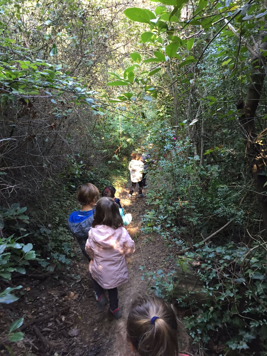 Anna Diaz tweet media