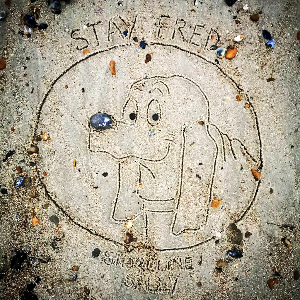 DigiDaughter's tweet photo. Stay Fred 🐾 #fredbasset #bassethoundsofinstagram
#bassethound #alexgraham #dailymailcartoons
💛 #StaySafe #sanddrawing #beachart 🌊🌊🌊 #Lockdown2020 #comics #cartoons ✍️ #SandBanksy #ShorelineSally No.537 https://t.co/pwnAwyq4Ja