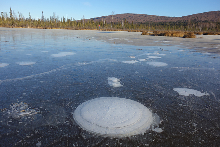 Field scientists in general believe the Arctic is releasing more carbon today than the recent past. The fraction of carbon released as methane (a powerful GHG) is small but increasing. This is the type of work that causes the media to talk about "Arctic bombs" etc. But.... 8/