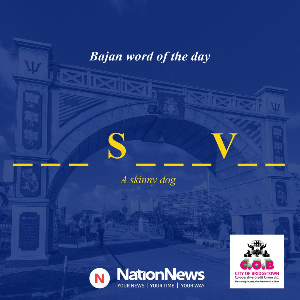 NationBarbados's tweet photo. Guess the Bajan word of the day.
Clue: A skinny dog.

#ThingsBajan
#Barbados
#Nation246
#Independence
#WordOfTheDay
@cobcreditunion https://t.co/TAFnK6WKfe