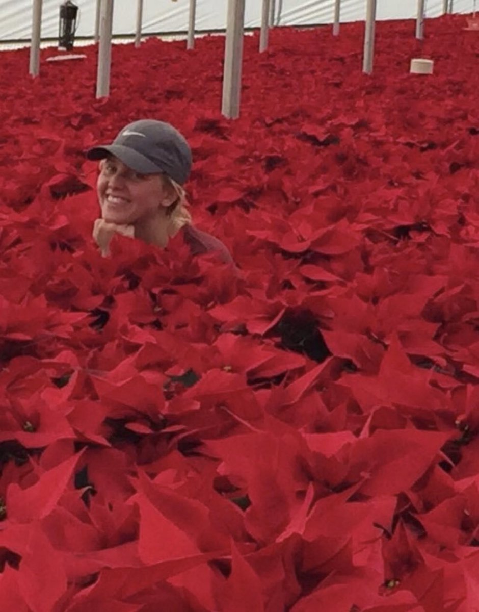 On this day 4 years ago⬇️⬇️⬇️ Sending good vibes to all our poinsettia growers who are gearing up for the toughest part of the season: SHIPPING🤯 #YouGotThis