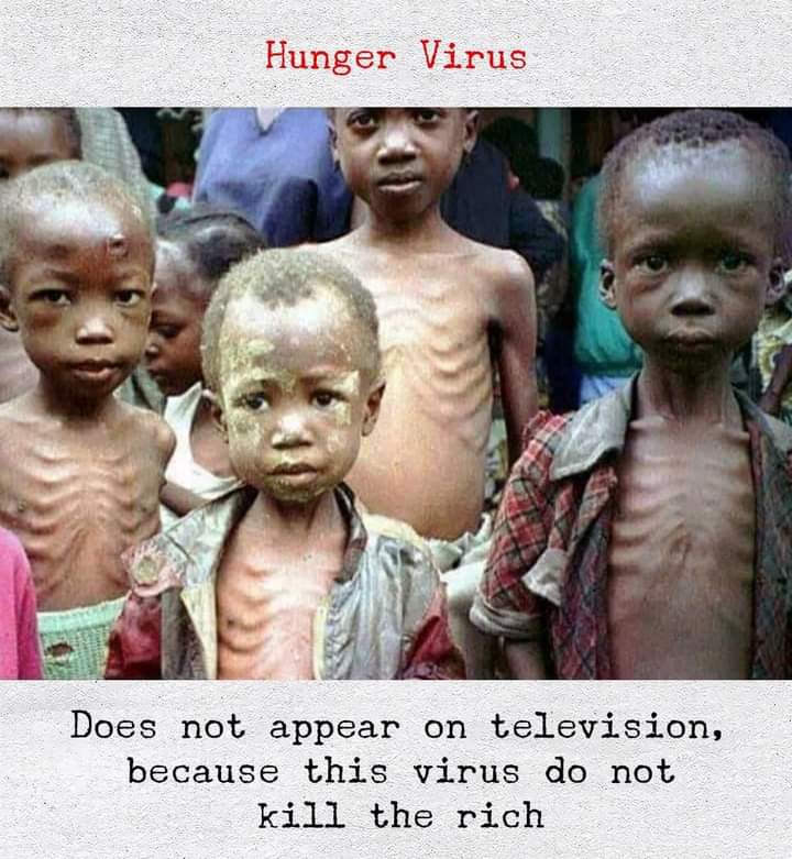 sshhhooxxaa96's tweet photo. hunger virus https://t.co/lOPjFPAtI7
