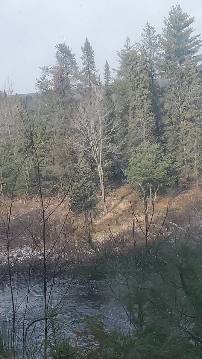 WilliamsJaks's tweet photo. I'm going hunting for the first time and it's so fun! https://t.co/3kWq6vaKqY