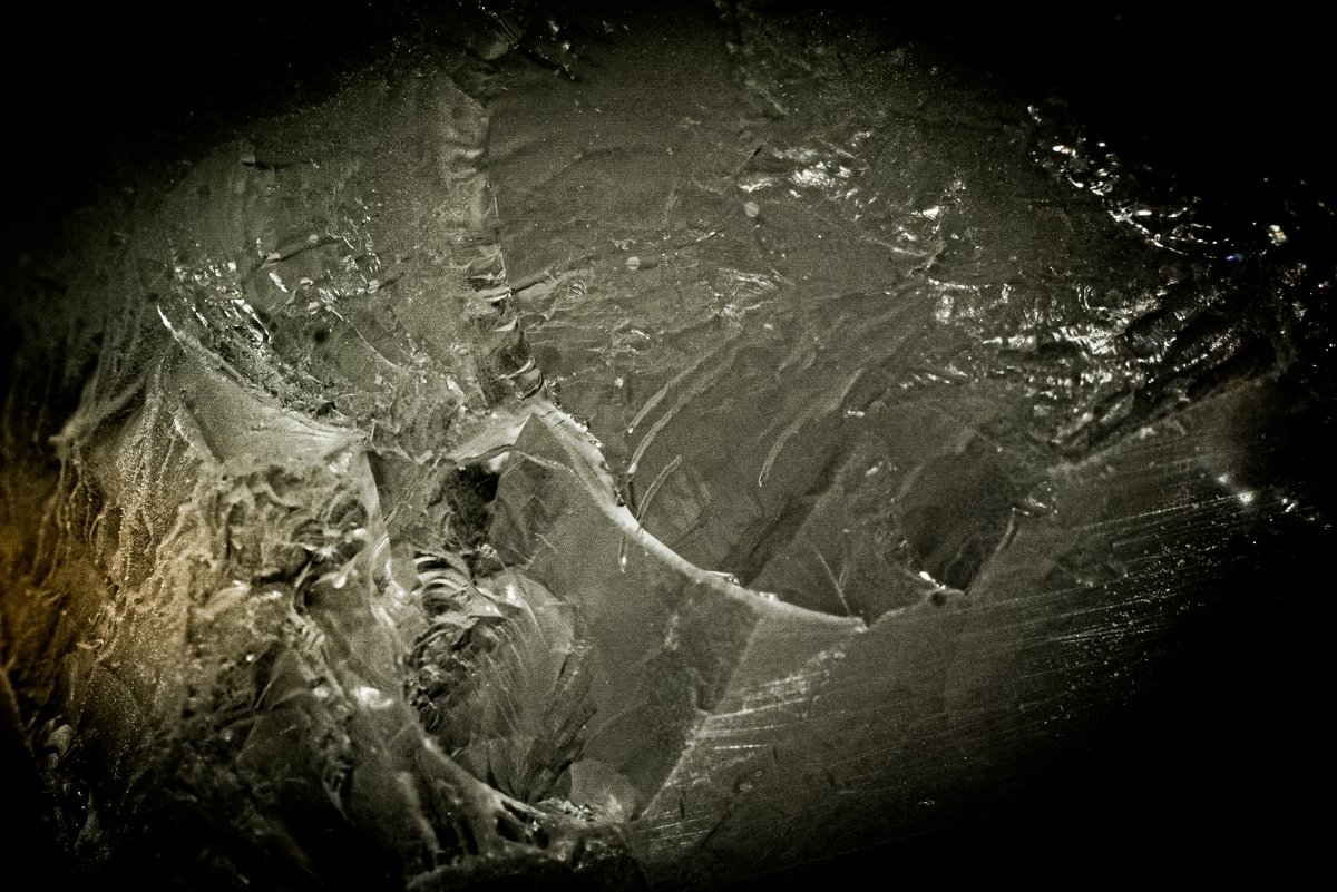 mrdavidjwilson's tweet image. Macro madness to keep me sane  #Part1 #macrophotography #firstgo