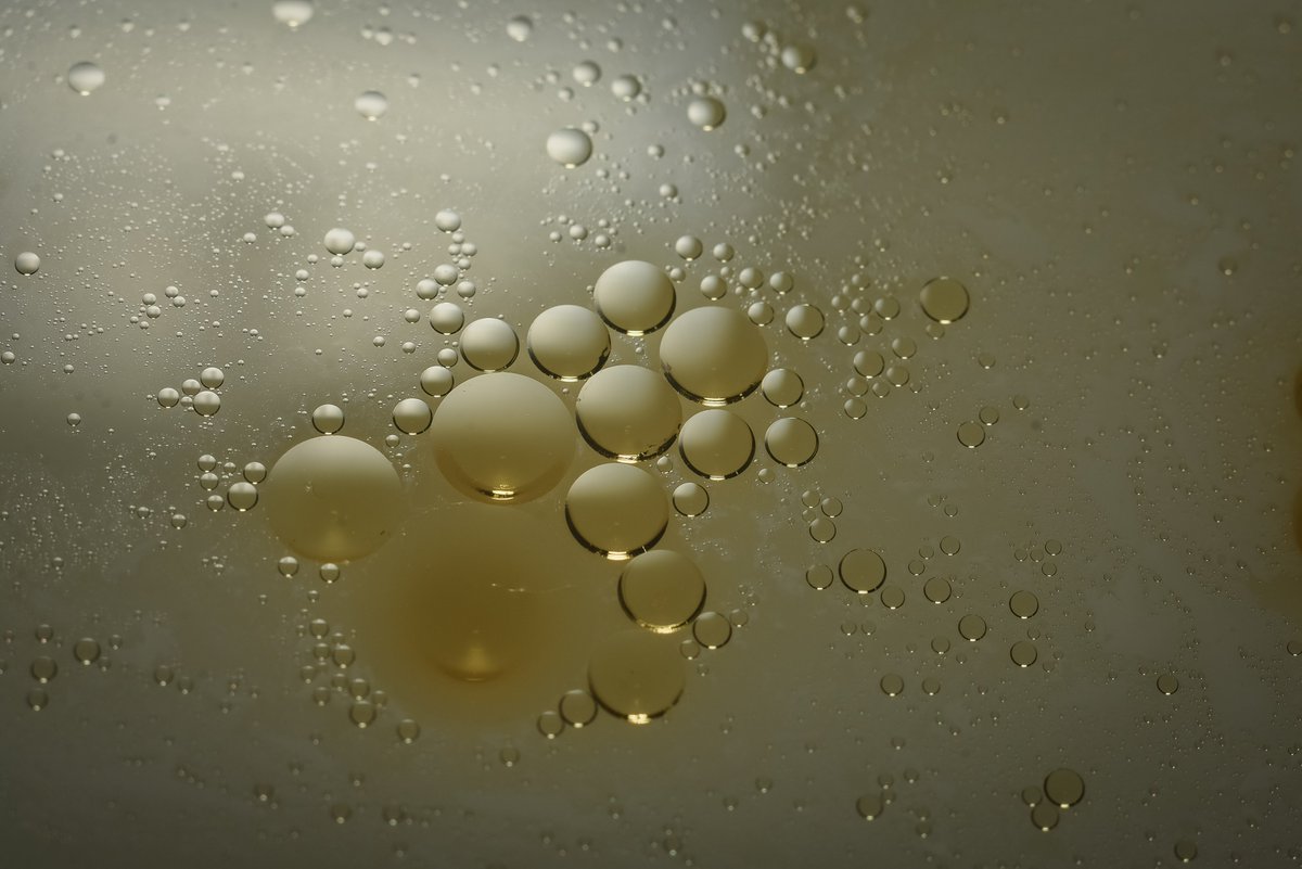 mrdavidjwilson's tweet image. Macro madness to keep me sane  #Part1 #macrophotography #firstgo
