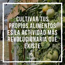 Diana Patricia Vargas Jimenez tweet media