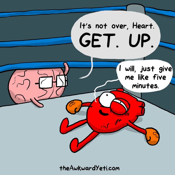 theawkwardyeti's tweet photo. https://t.co/4Xz7vCGk50
