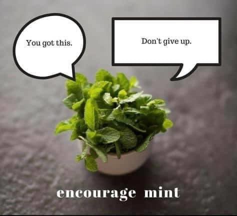 2. "I'm into that, I'm good to go"- Streaming accs ready.- Stream  @BTS_twt where & as much as you can.- Take breaks, but continue to stream into headphones at work, uni etc (if you can, don't get fired!)- But! CB goals = ARMY goals. BTS just want us to enjoy their music!(+)