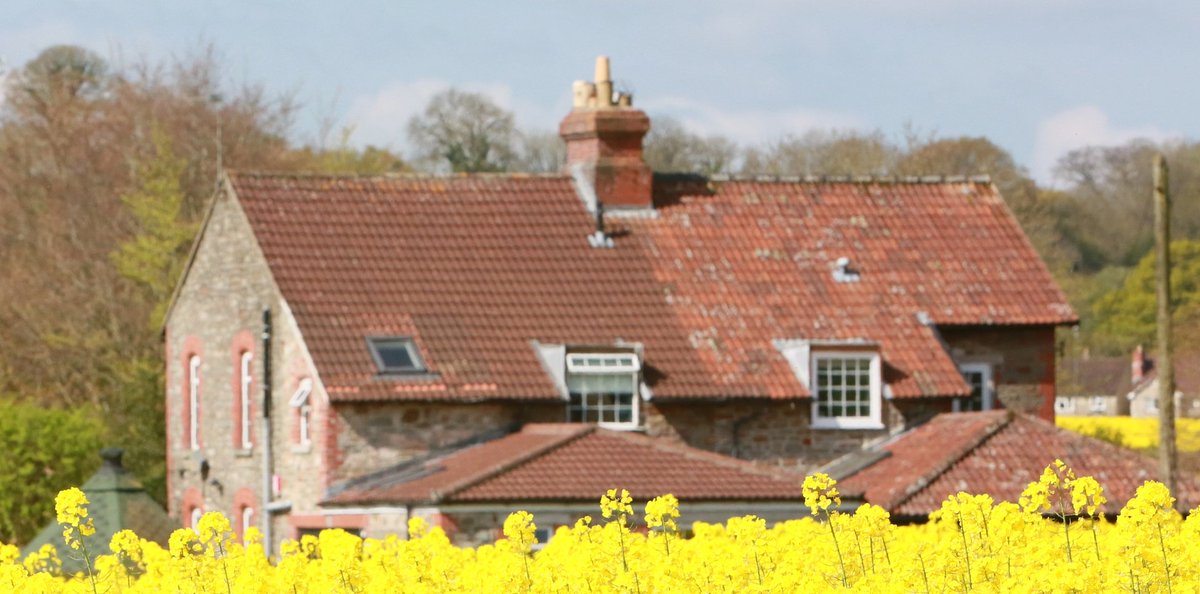 Our first blog as part of #AgricultureWeek is here 👏 To begin, we take a look at the future of your farm in our a #guide to agricultural succession planning: hubs.ly/H0B2DHn0 #planningforthefuture #privateclient #agriculture