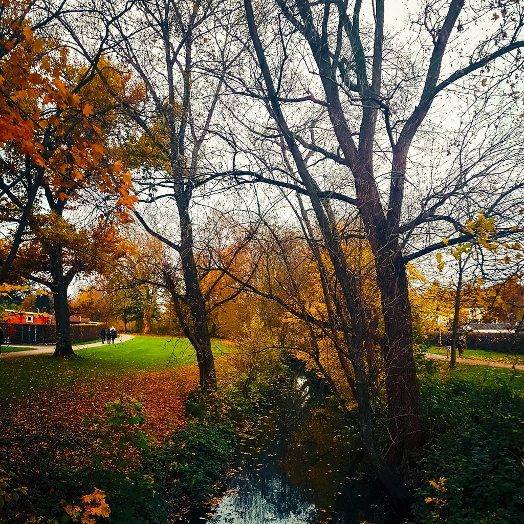 Three1_official's tweet photo. 🍁🍂
#autumn #herbstlich #farbenspiel #feierabendgenießen #derherbstistda #germany #bielefeld #three1 https://t.co/OZW4wgIJVY