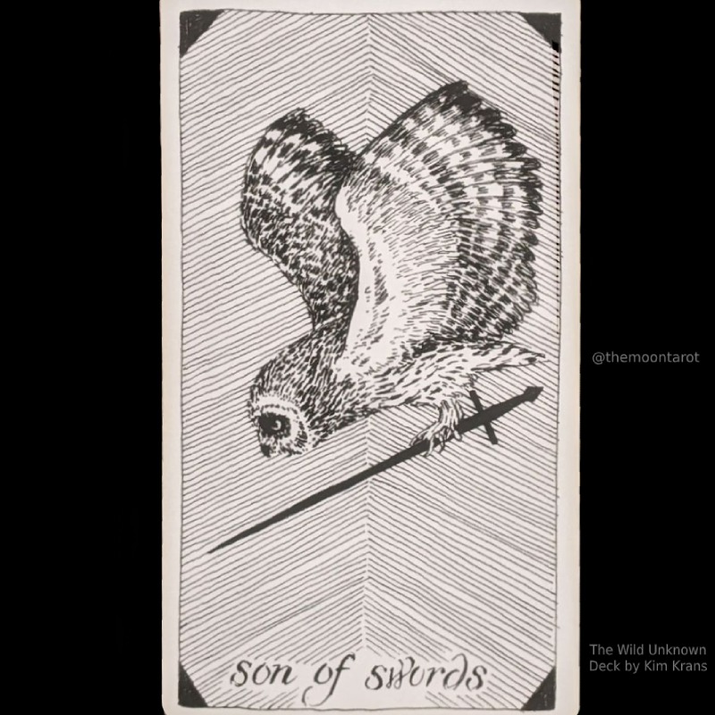 The Moon Tarot tweet media