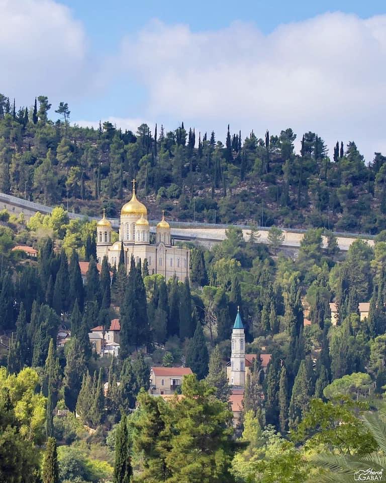 Israel Tourism tweet media