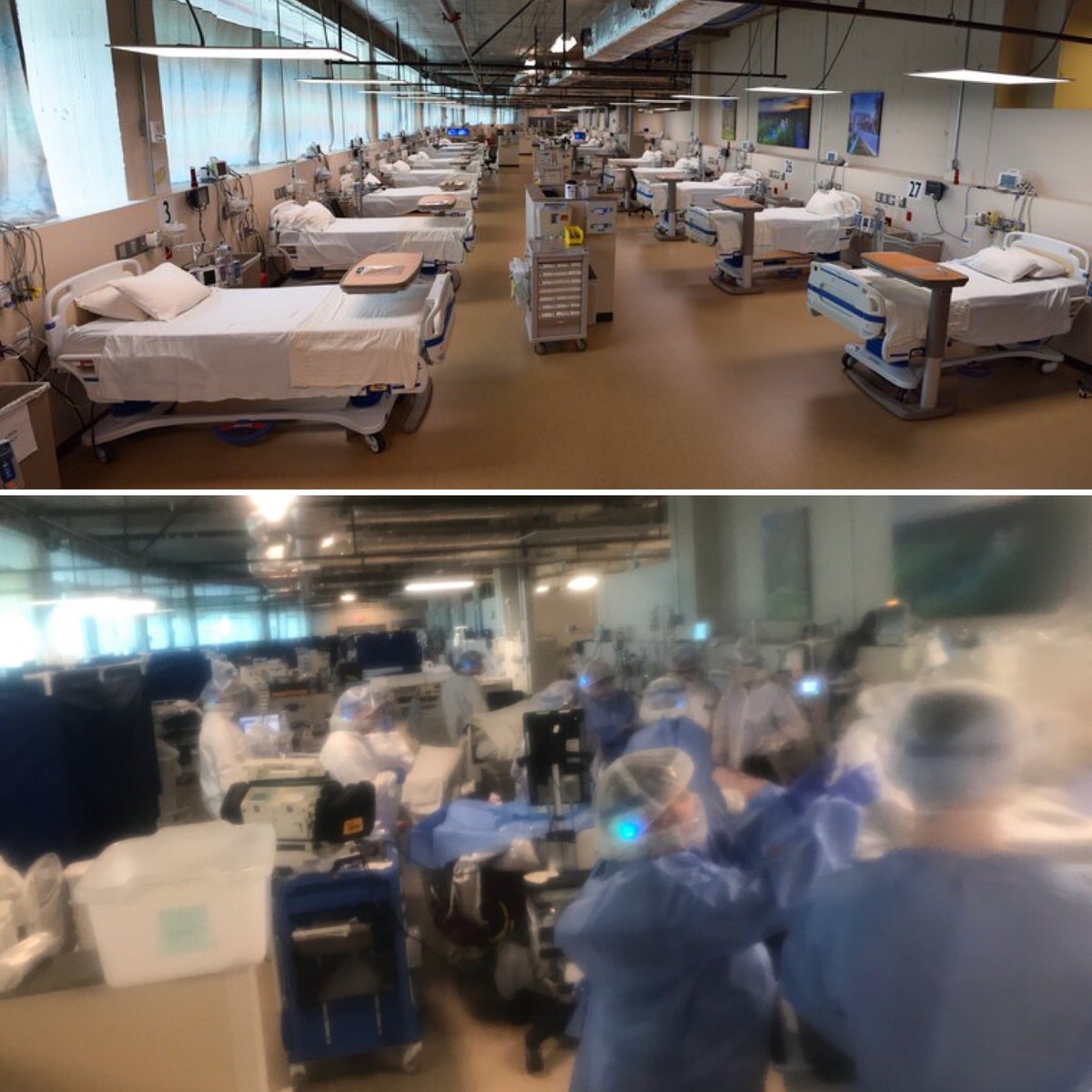 Steve Edwards tweet media