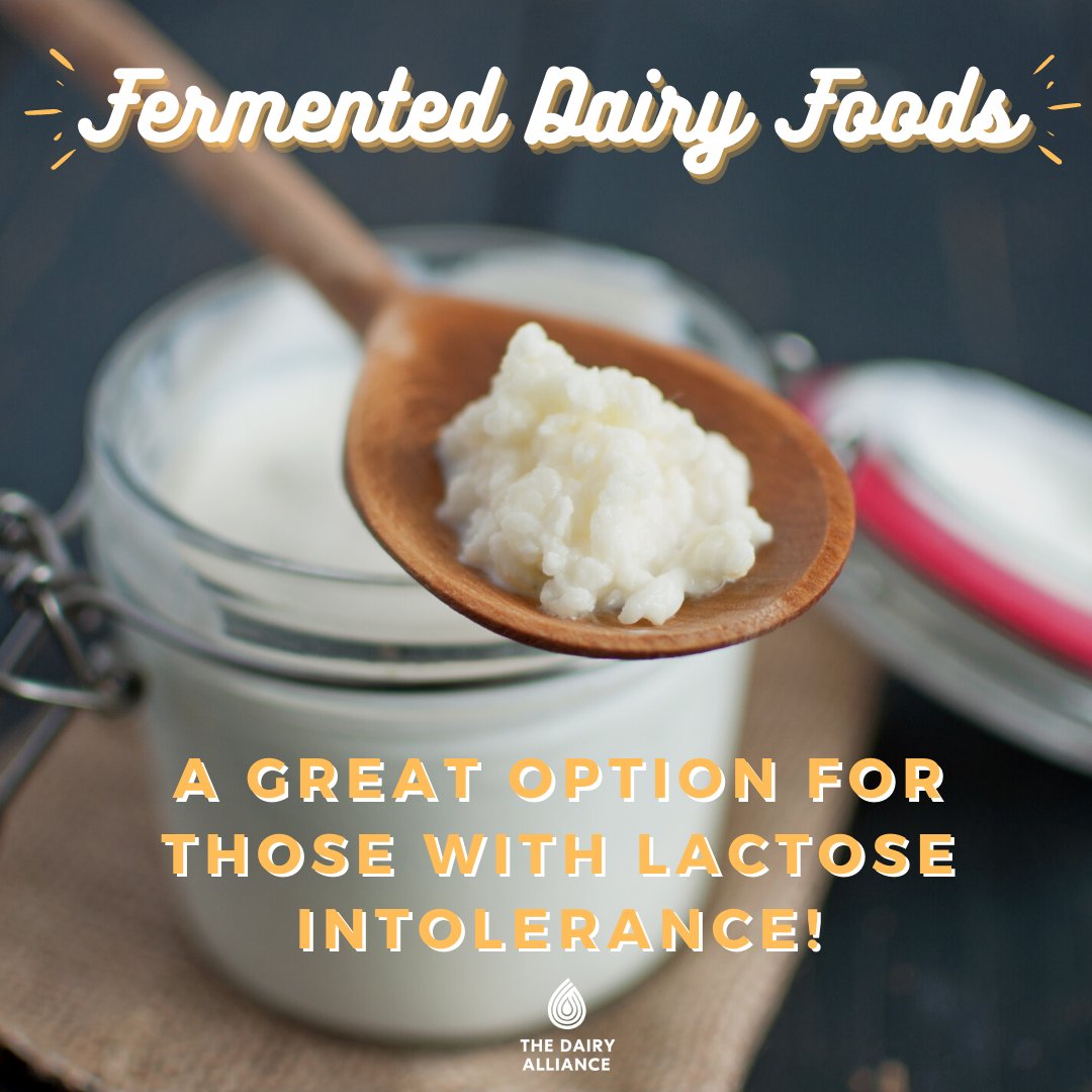 dairy_alliance's tweet photo. Did you know the probiotics in fermented dairy foods like yogurt and kefir aid in the digestion of lactose, making them a great option for those with lactose intolerance? #fermentationfacts #DYK https://t.co/EczN810yB2