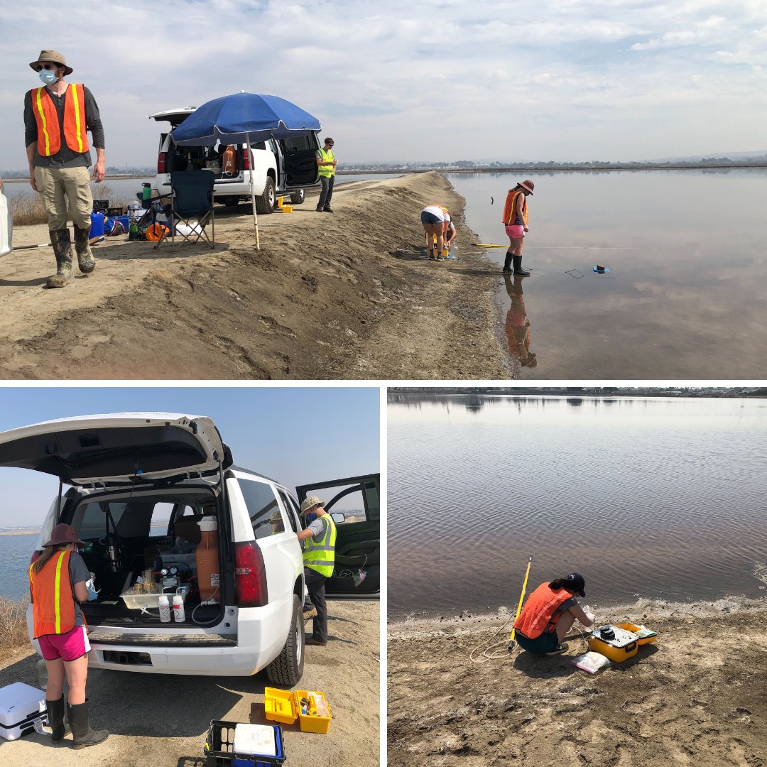 Space Oceans OAST tweet media