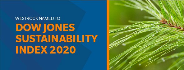 gcohen85's tweet photo. Honored for @WestRock to be included in the #DJSI. As a leader in #sustainablepackaging, we are proud to partner with our customers to imagine and deliver on a more sustainable future. @spglobal #CSA2020 #connectingpeopletoproducts https://t.co/4WKCHbLKa6