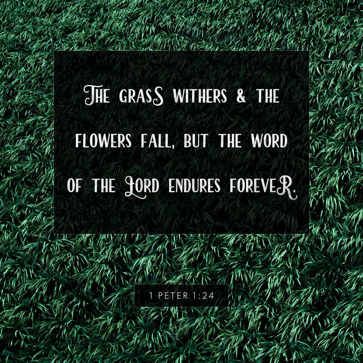 trainor_susan's tweet photo. Verse of the day��� https://t.co/CQY6RSHrrh https://t.co/lBk7bXE10g