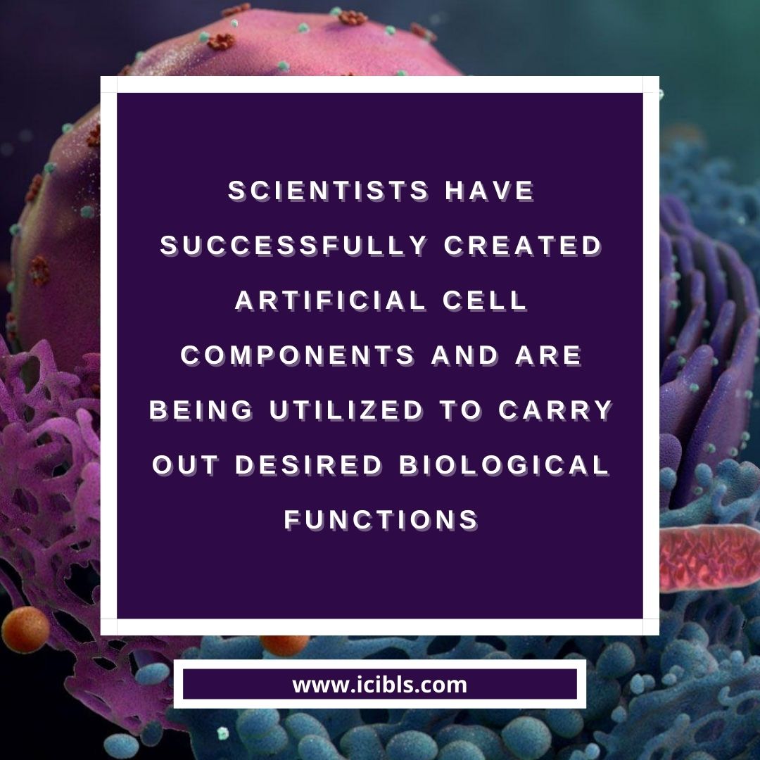 icibls's tweet photo. #FactsWithIcibls
Did you know, scientists are able to successfully create artificial cell components that can be used to carry out desired reactions!

#facts #Icibls #Icibls2020 #researchers #CellBiology #biochemistry #Biotechnology #future https://t.co/ePwGtNULs7